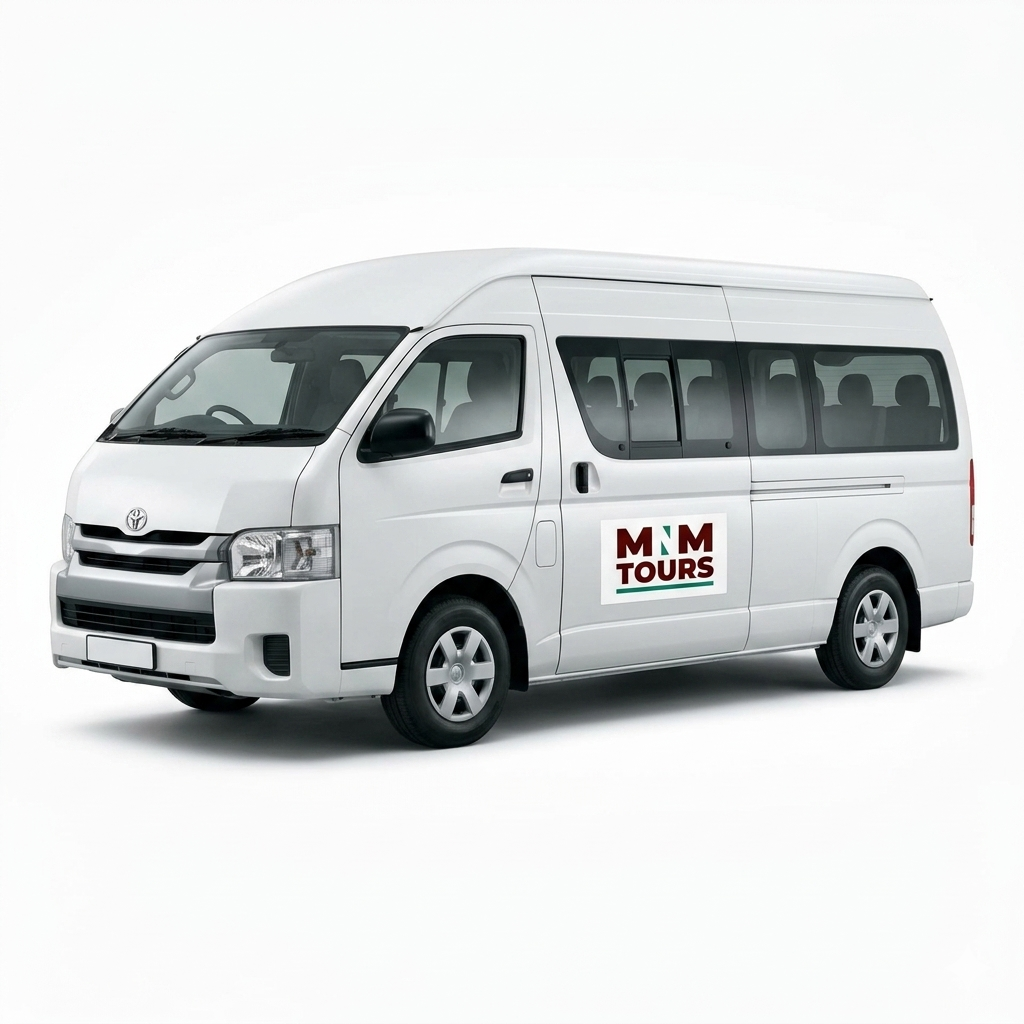 Safari Minibus
